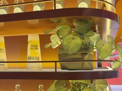 -乐凯撒披萨(正佳广场店)