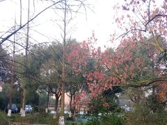 -金牛山大酒店(南北湖风景区店)