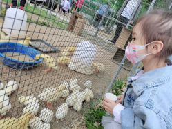 -上美四季动物农场