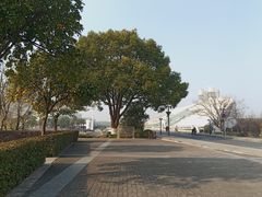 -浙江大学(紫金港校区)