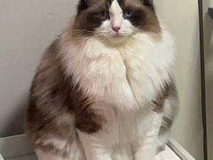 -美联众合24小时·皮肤科·外科·全科诊疗中心(华苑分院)