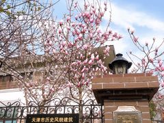 -天津五大道文化旅游区