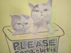 -槟城街头艺术街区