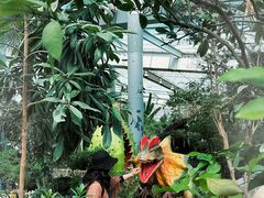 -沈阳植物园