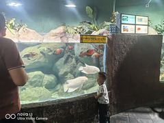 -苏州海洋馆
