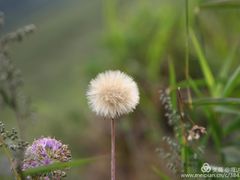 -北京灵山风景区