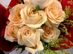 -绿岛国际酒店·海鲜酒楼(八七路店)