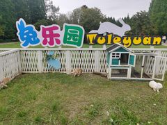 -东平国家森林公园