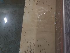 -中家鑫园温泉酒店鑫悦汤泉