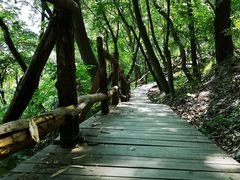 -北京上方山国家森林公园