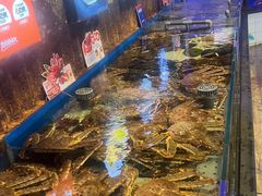 -开海·红岛海鲜虾水饺(石老人店)