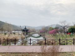 -石塘人家