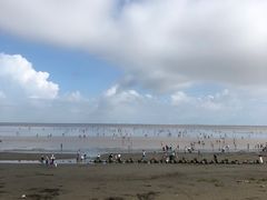 -南汇新城海滩