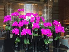 -天津君隆威斯汀酒店