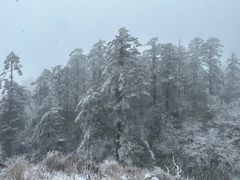 -瓦屋山景区