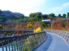 -梅峰山地公园
