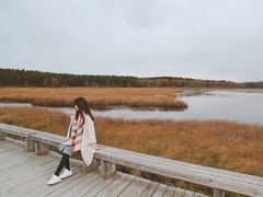 -塞罕坝国家级自然保护区