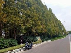 -云龙湖旅游景区