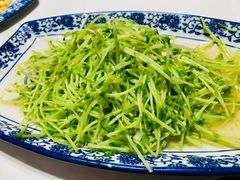 炒豆苗-蜀都餐厅(凤池店)