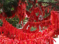 -无染寺