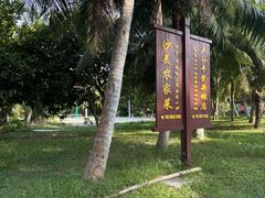 -沙美村