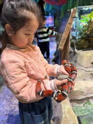 -酷嗒动物文化乐园(cutezoo西溪乐天城店)