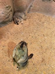 -酷嗒动物文化乐园(cutezoo西溪乐天城店)