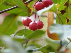 -大商超市(银岛店)