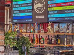 -Goose Island Brewhouse鹅岛精酿啤酒餐厅