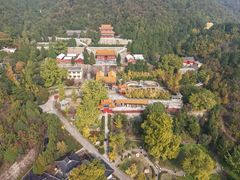 -遵化市禅林寺古银杏风景园