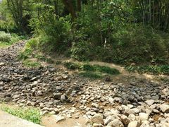 -田心森林公园