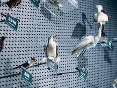 -中国湿地博物馆