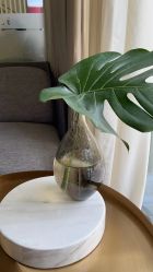 -汐月Health纤体spa中心