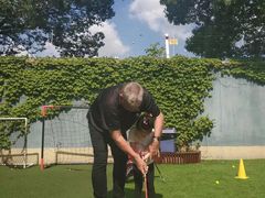 -胡姬港湾幼儿园(龙华丰谷园)