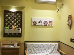-派联宠物医院·24h·CT·异宠