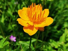 -白草畔自然风景区