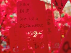 -上海书城(福州路店)