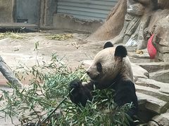 -常州淹城野生动物世界