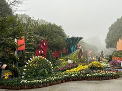 -南山植物园