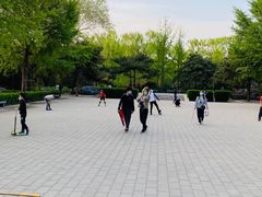 -玲珑塔公园