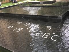 -宠爱国际动物医院· 猫科· 外科·中兽医(长白店)