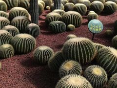 -南通洲际绿博园