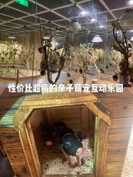 -七巧国萌宠乐园(龙湖天街店)
