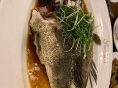 -泰国村酒楼(室内体育馆店)