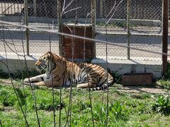 -哈尔滨北方森林动物园