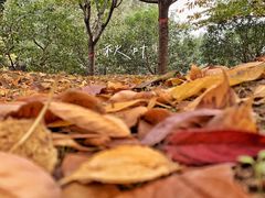 -西安汉城湖景区