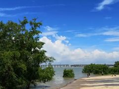 -宝安西湾红树林湿地公园