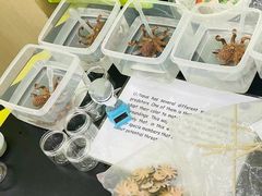 -神奇科学家STEAM科学实验科创赛事机器人编程逻辑思维MadScience(长宁来福士校区)