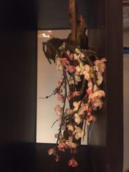 -盘子女人坊古装写真摄影(天津总店)