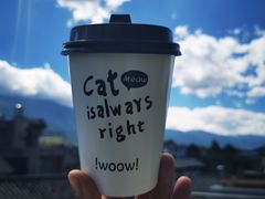 -喵屿·大理花园猫咖